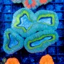 Lobophyllia sp. (M/L)