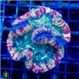 AJ-8061