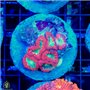 AJ-8086