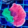 AJ-8192