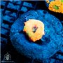 AJ-8606
