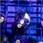 CI-736